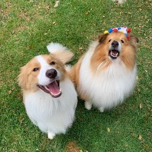 Meet your Posher, Robyne